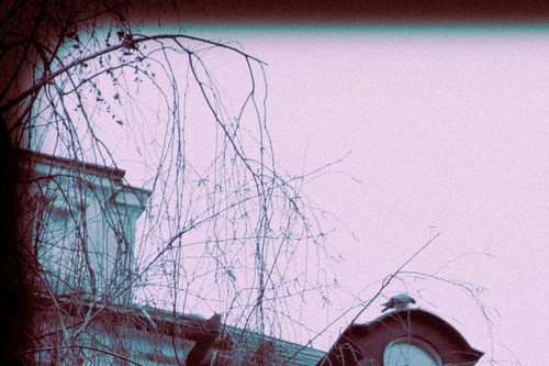 40. recital Prešernove poezije / Foto: Claudi Sovre